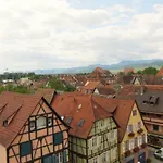 Apartamento Grenier Des Cigognes