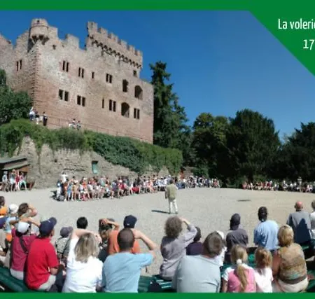 아파트 Grenier Des Cigognes 셀레스탓