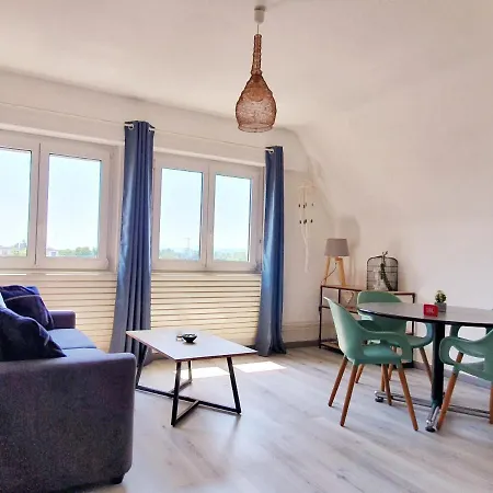 Grenier Des Cigognes 셀레스탓