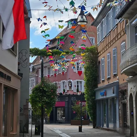 Grenier Des Cigognes 셀레스탓